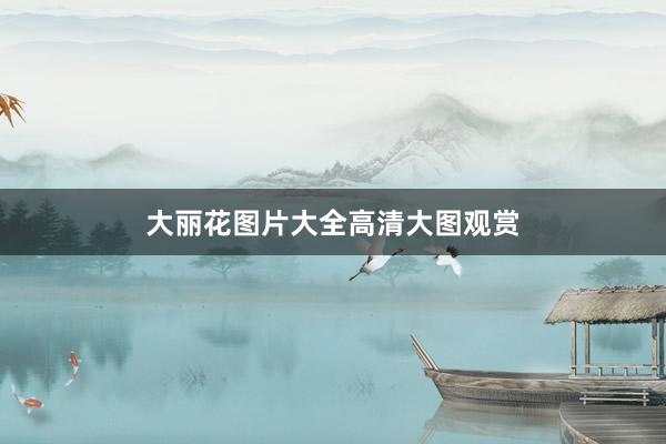 大丽花图片大全高清大图观赏