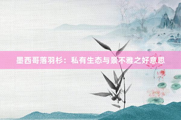 墨西哥落羽杉：私有生态与景不雅之好意思