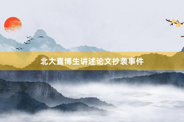 北大直博生讲述论文抄袭事件