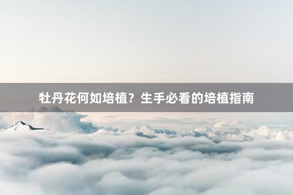 牡丹花何如培植？生手必看的培植指南
