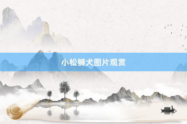 小松狮犬图片观赏