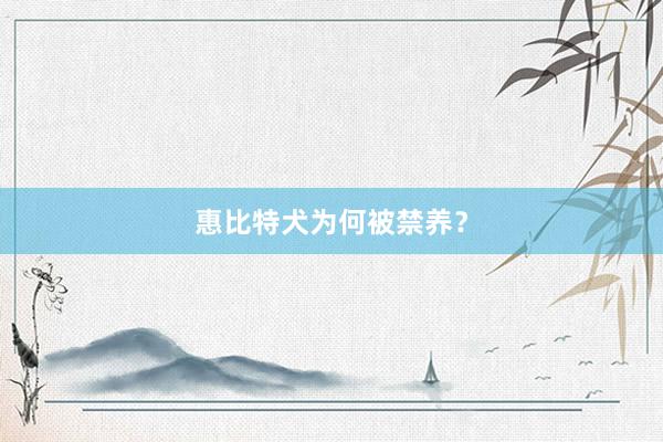 惠比特犬为何被禁养？