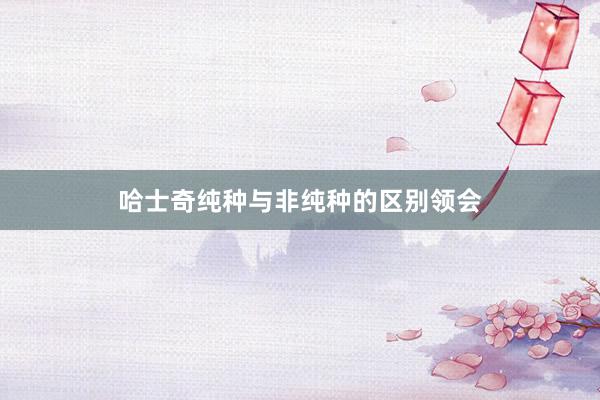 哈士奇纯种与非纯种的区别领会