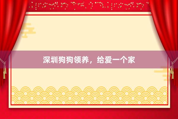 深圳狗狗领养，给爱一个家
