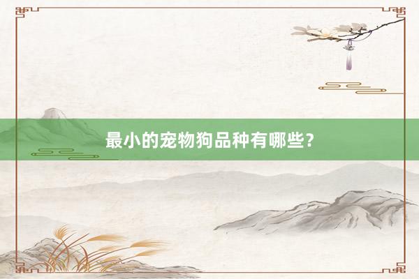 最小的宠物狗品种有哪些?