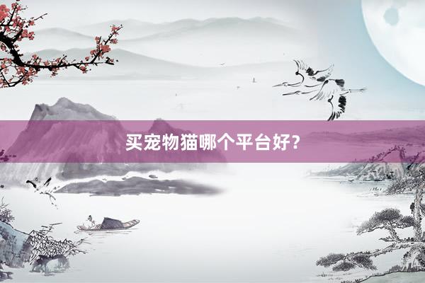 买宠物猫哪个平台好?